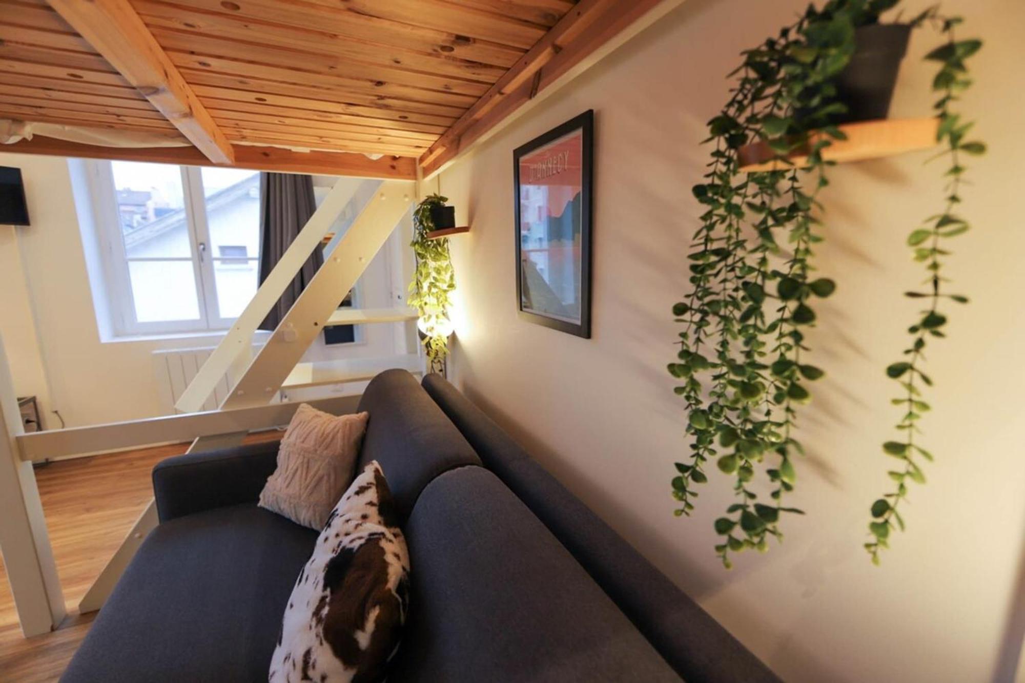 Le Petit Plus - Studio Confortable Avec Parking Apartment Annecy Exterior foto